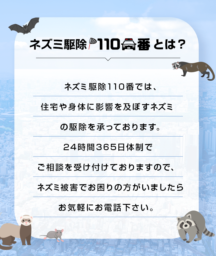 ネズミ駆除110番とは？