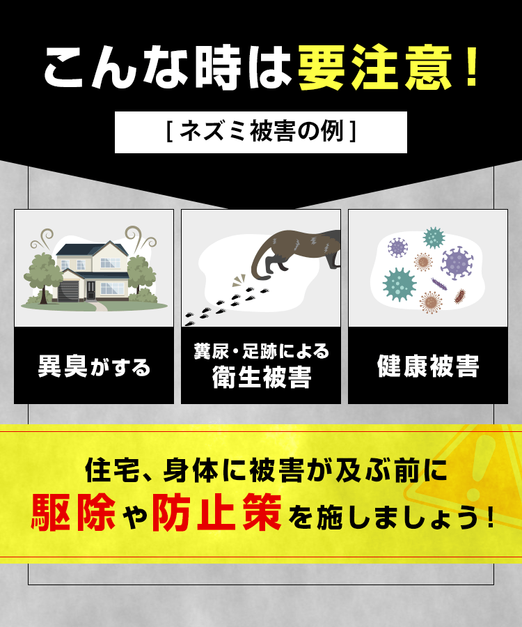 こんな時は要注意!ネズミ被害の例