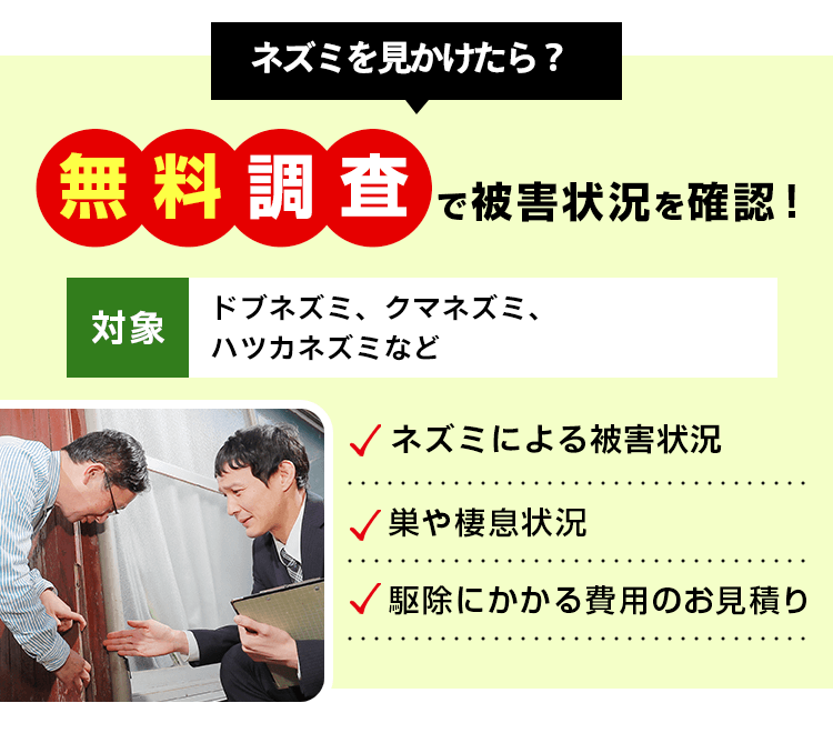 ネズミを見かけたら無料調査で被害状況を確認