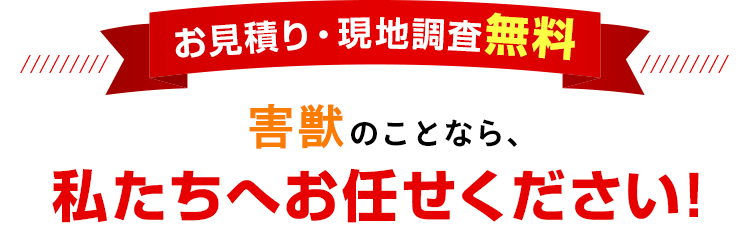 ネズミのことなら私たちへお任せください！