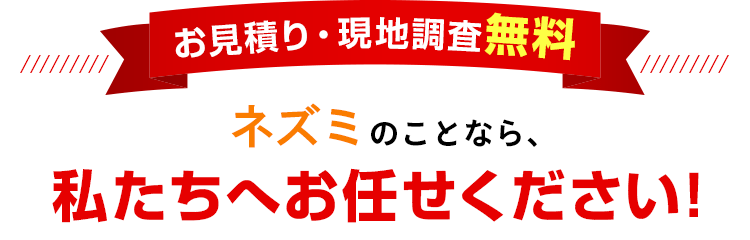 ネズミのことなら私たちへお任せください!