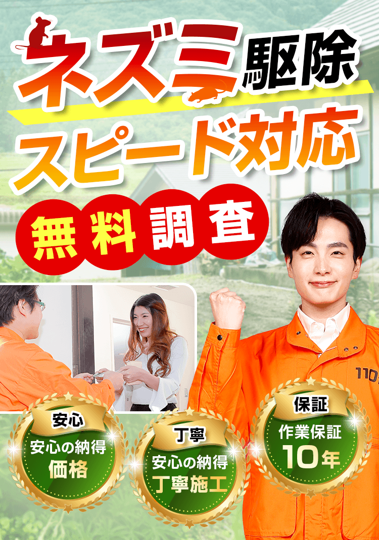 ネズミ駆除110番 ネズミ駆除スピード対応無料調査