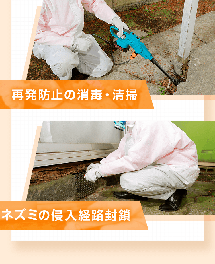 薬剤による追い出し、再発防止の消毒・清掃、ネズミの侵入経路封鎖