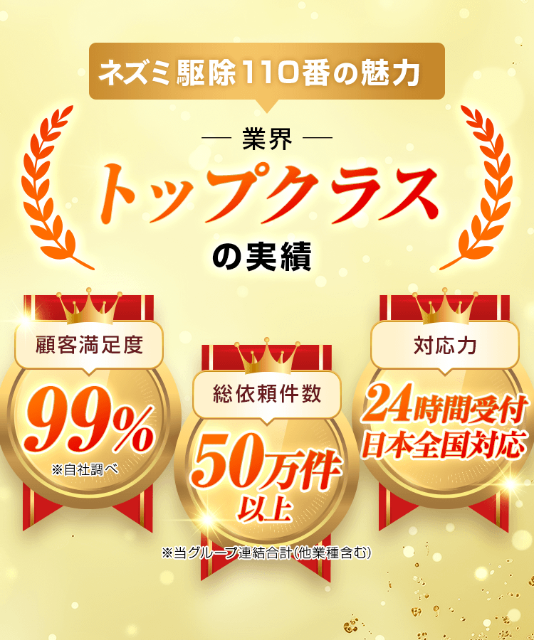 業界トップクラスの実績