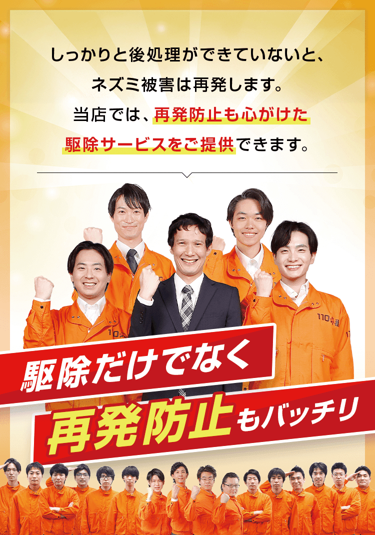 駆除だけでなく再発防止もバッチリ